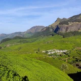 Kolukkumalai Tea Estate Idukki 